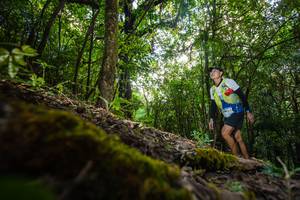 BIB: 3194
                            <button type="button" onclick="openModal(16009144)" class="btn btn-primary btn-sm float-right btn-popup" data-toggle="modal" data-target=".modal-high-quality">
                        <i class="fas fa-shopping-cart"></i> Add to Cart
                    </button>
                                            <button type="button" onclick="isThisMe(16009144, true)" class="btn btn-success btn-sm float-right btn-popup btn-isme hidden" data-toggle="tooltip" data-placement="bottom" title="นี่คือรูปของคุณใช่ไหม คลิกที่นี่เพื่อเอาเข้าอัลบั้ม">
                        <i class="fas fa-plus"></i> Add to album
                    </button>
                    <button type="button" onclick="isThisMe(16009144, false)" class="btn btn-warning btn-sm float-right btn-popup btn-isnotme hidden">
                        <i class="fas fa-ban"></i> Remove from album
                    </button>